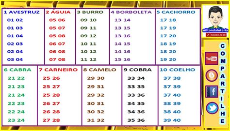 como saber se ganhei no jogo do bicho no grupo